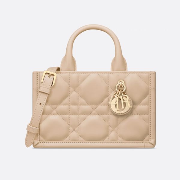 DIOR mini Book Tote  핸드백 S5573OWHP